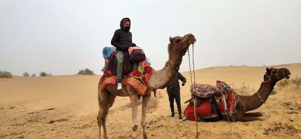 Nomadic Non-Touristic Overnight Camel & Desert Safari Tour - Sum Up