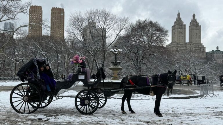 NYC Empire State Horse Carriage Rides (Central Park Tour)