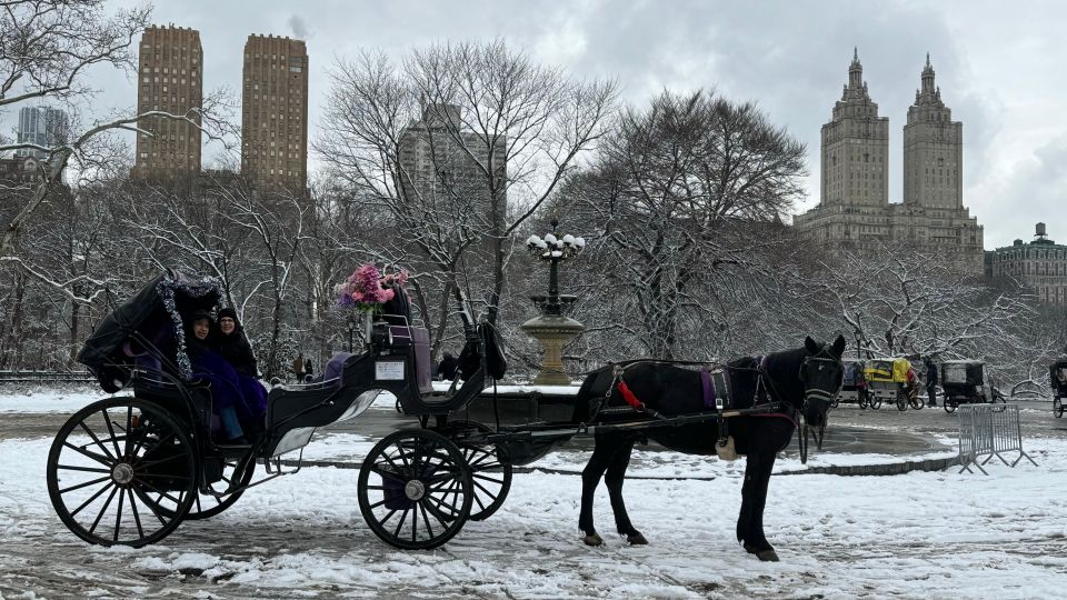 NYC Empire State Horse Carriage Rides (Central Park Tour) - Activity Overview