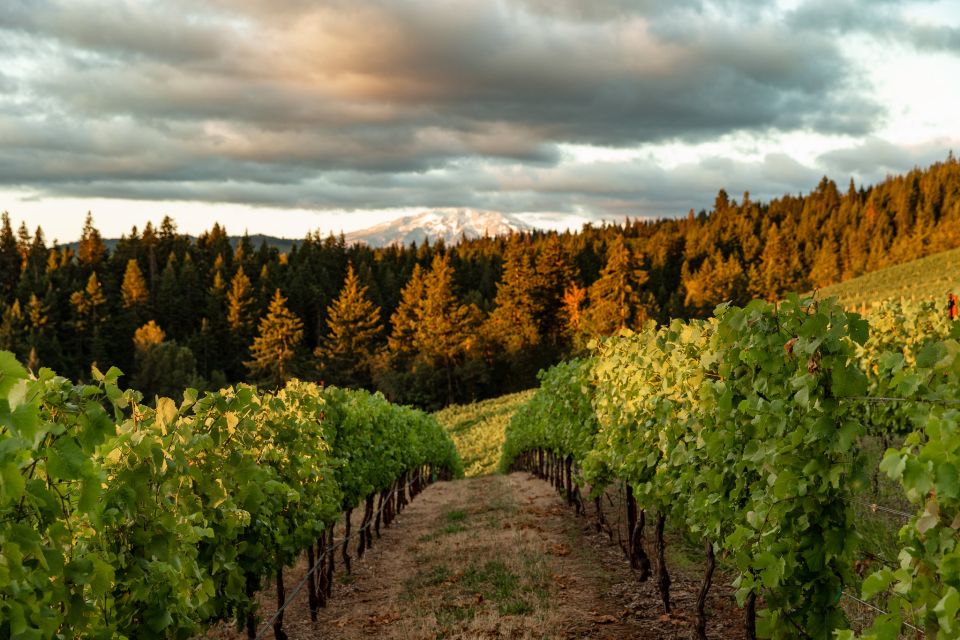 Outside Portland: Wine, Waterfalls, and Timberline Tour - Common questions