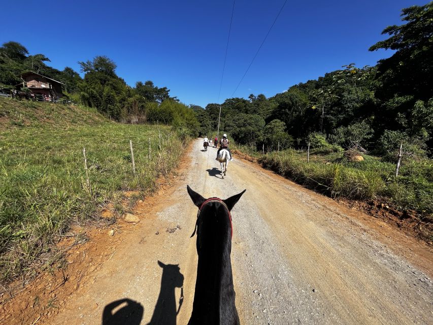 Paraty: 3-Hour Rainforest Horseback Ride - Contact and Communication