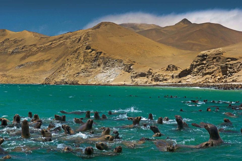 Perú Package||Lima, Nazca, Machu Picchu, Humantay Lake|| 11D - Miscellaneous Information