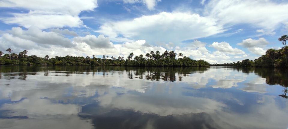 Preguicas River Speedboat Tour - Sum Up