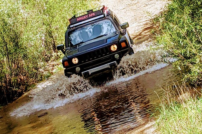 Private Off Road Adventure Tours in the Prescott National Forest - Wildlife Spotting Opportunities