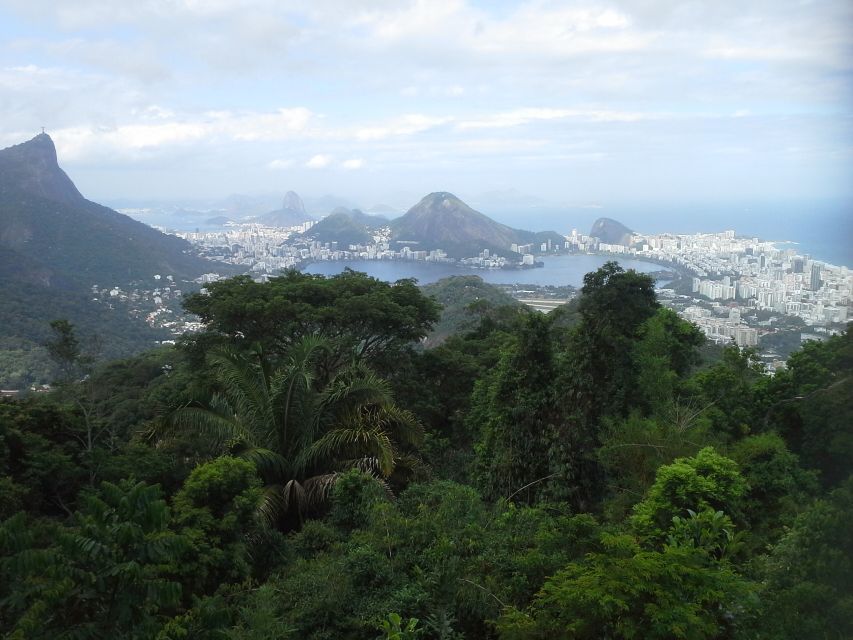 Private Tijuca Forest & Botanical Garden Guided Tour - Sum Up