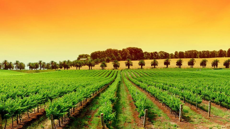 Provence Day, Saint Tropez Grimaud Village Wine Tasting - Common questions