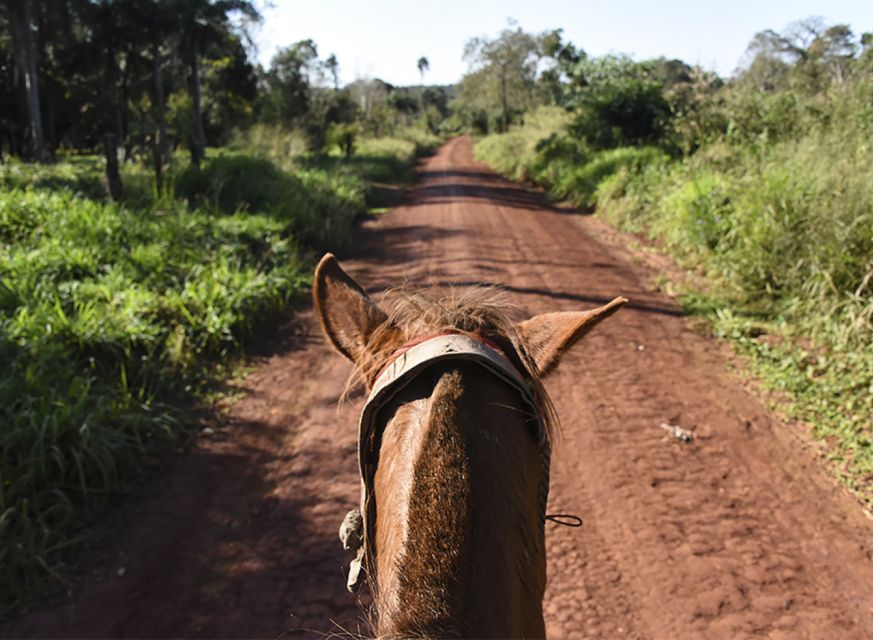 Puerto Iguazu: Jungle Horseback Ride With Guaraní Community - Common questions