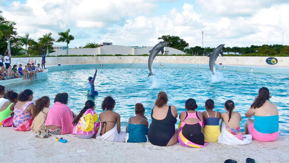 Punta Cana: Dolphin Discovery Swims and Encounters - Location and How to Get There