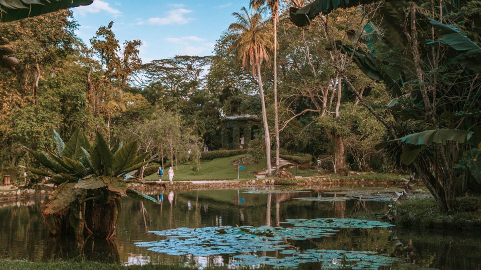 Rio De Janeiro: 4-Hour Botanical Garden & Tijuca Forest Tour - Sum Up