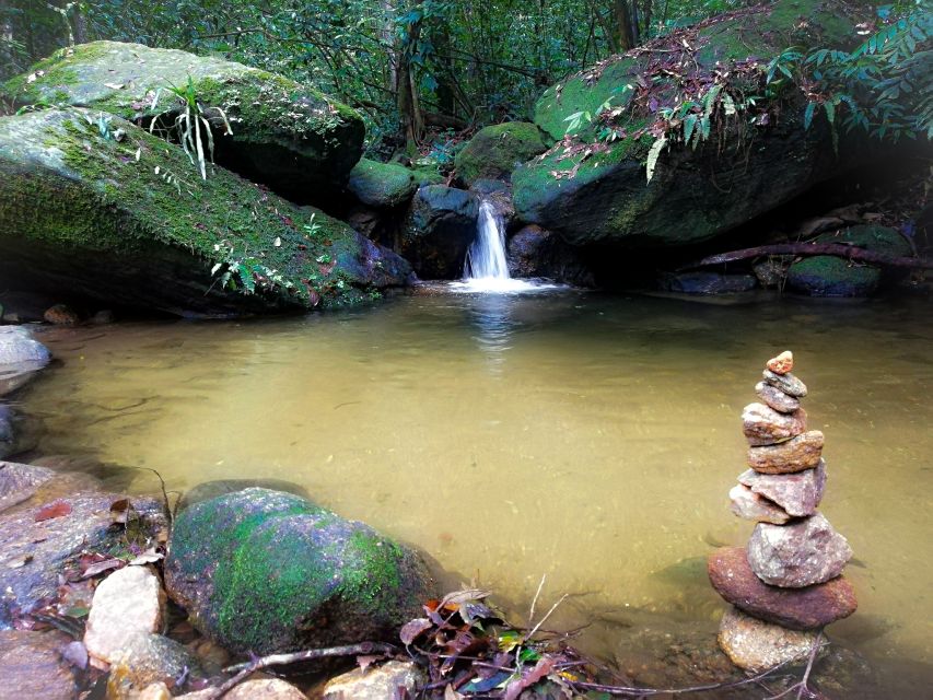 Rio De Janeiro: Tijuca Forest Waterfall of Souls Hike - Common questions