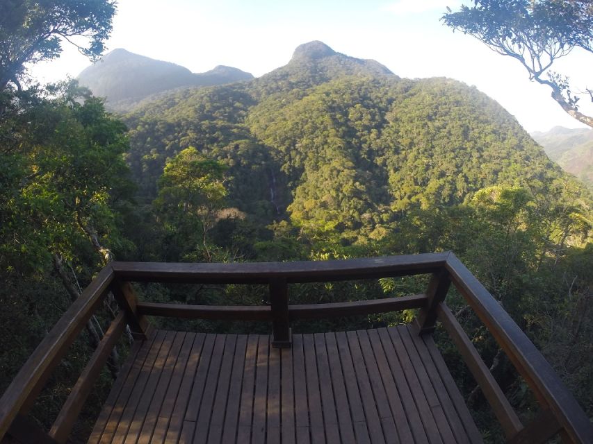 Rio De Janeiro: Tijuca National Park Ecotour - Common questions