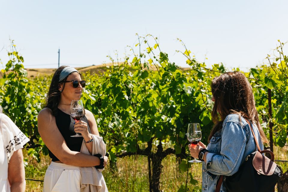 San Francisco: Napa and Sonoma Valley Wine Tour - Sum Up