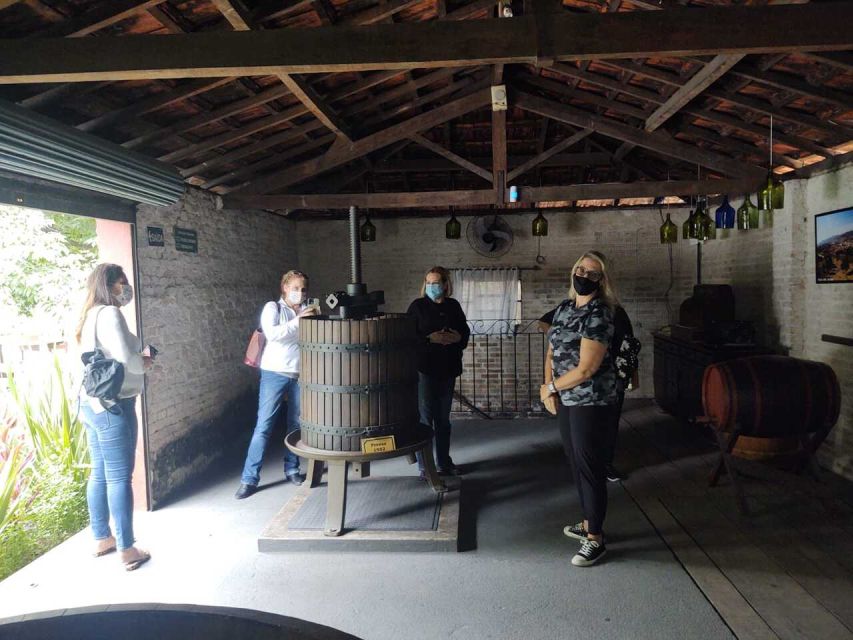 São Paulo: Full-Day Private Wine Tour in São Roque - Sum Up