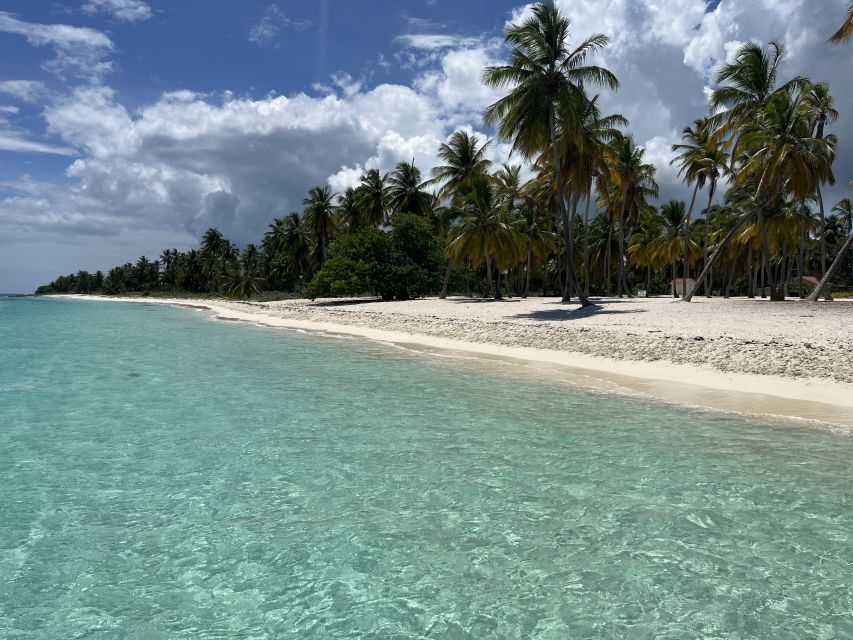 Saona Island: Small Group Virgin Beaches Cruise Day Trip - Sum Up