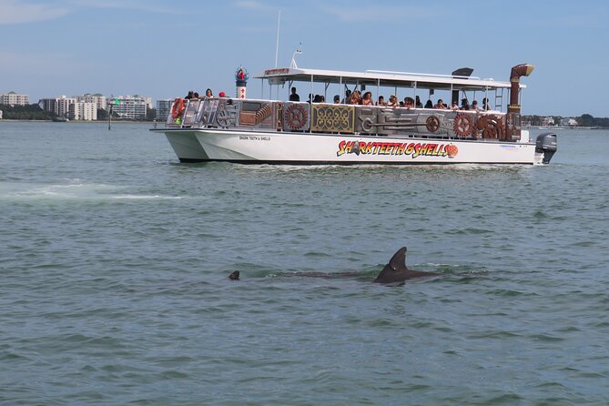 Shark Teeth and Shells, Dolphin and Shelling Tour Boat Clearwater Beach - Dolphin Spotting Adventure