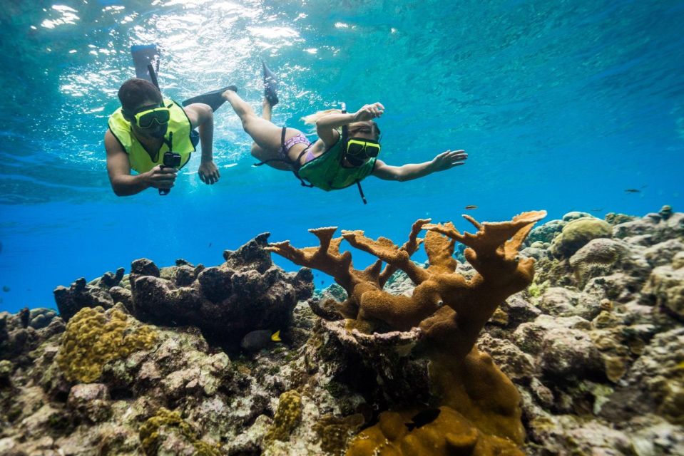 Snorkeling Activity With Boat Ride in Montego Bay - Highlights