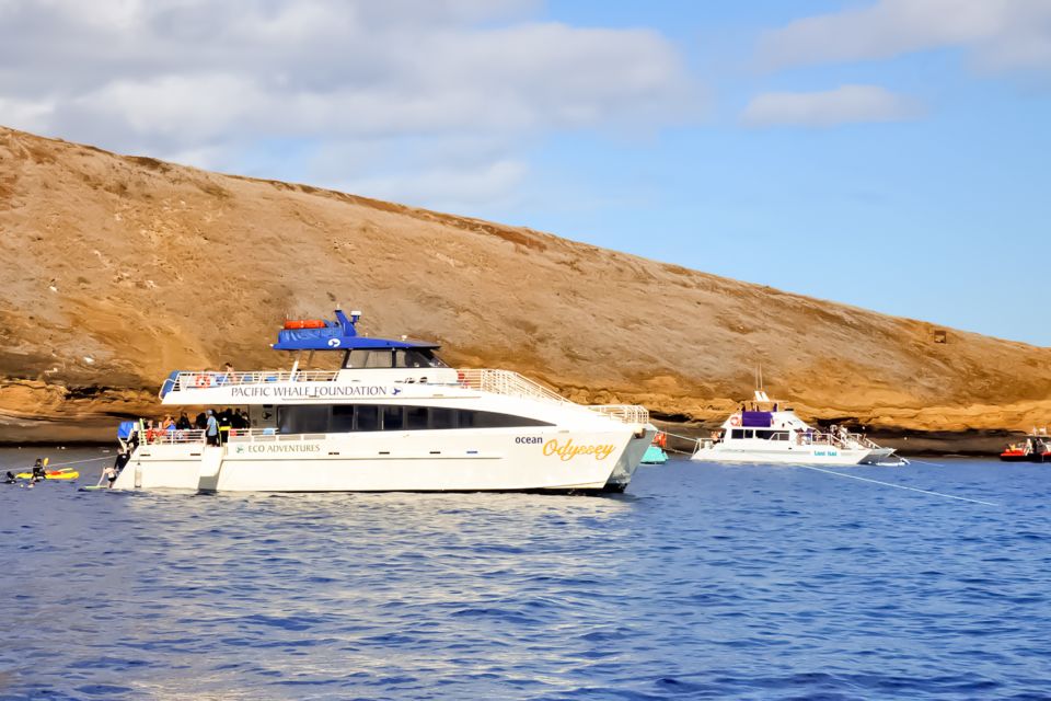 South Maui: Eco Friendly Molokini and Turtle Town Tour - Customer Testimonials