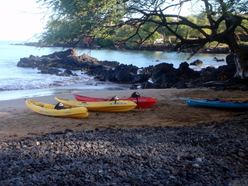 South Maui: Whale Watch Kayaking and Snorkel Tour in Kihei - Sum Up