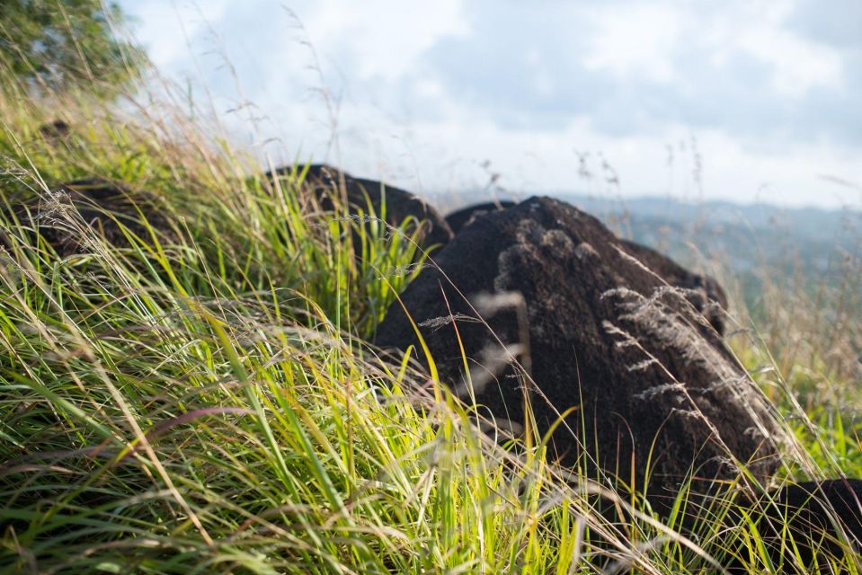 Stonehenge Antigua Greencastle Hill Guided Hike - Common questions