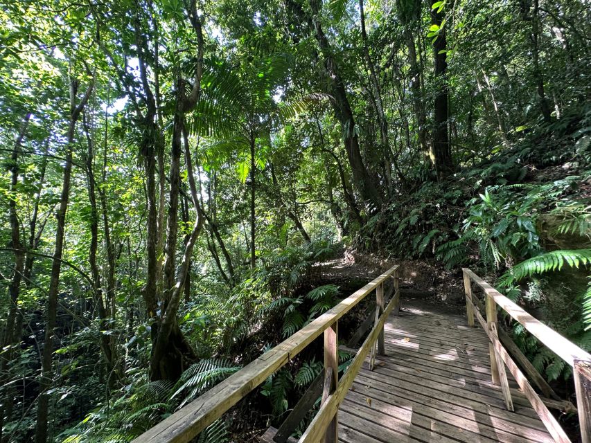 Vermont Nature Trail and Bird Watching Tour - Tour Details