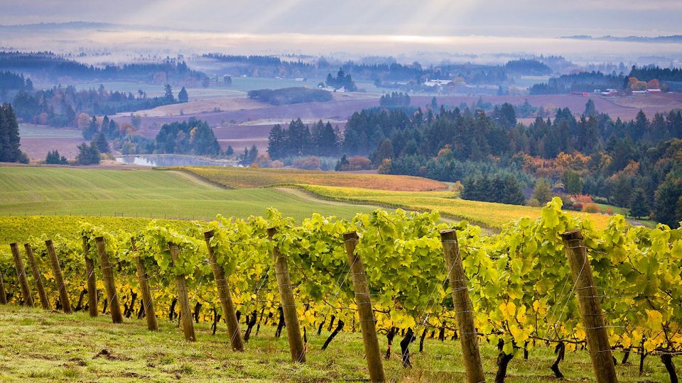 Willamette Valley Wine Tour: a Journey for the Senses - Sum Up