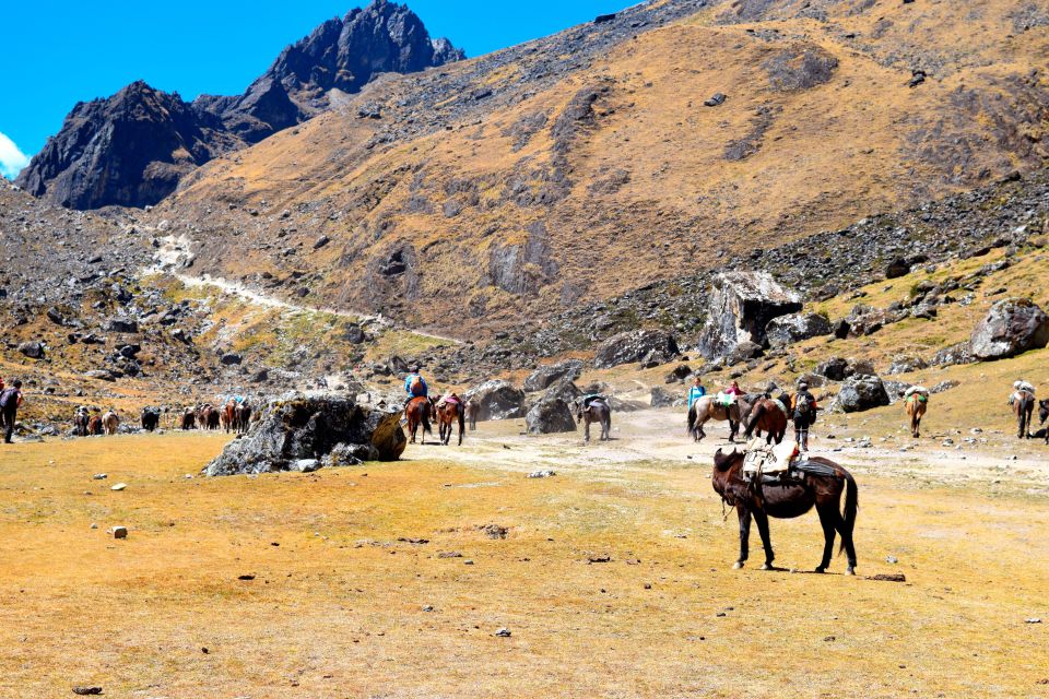 8 Day Cusco and Salkantay Trek to Machu Picchu - Sum Up