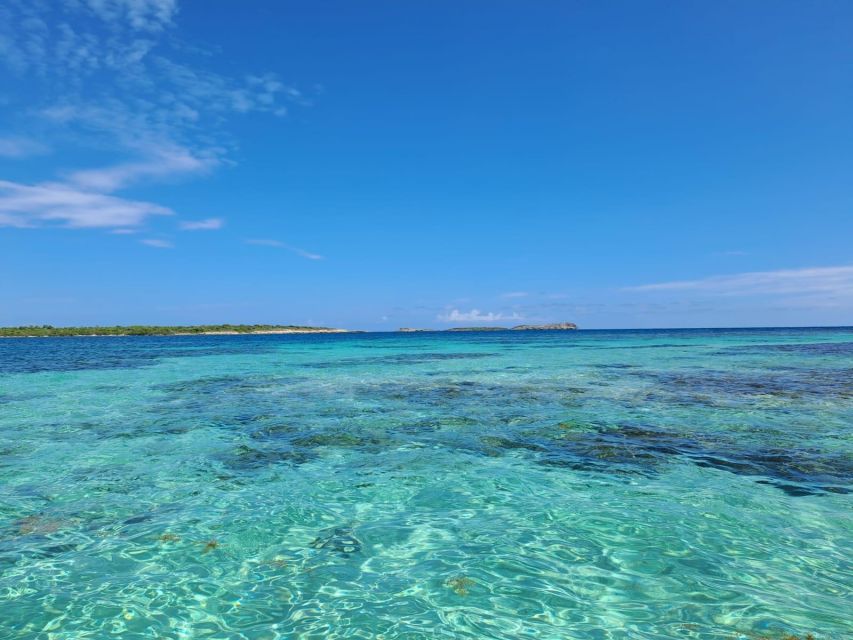 Antigua: Stingray City Experience Ticket - Sum Up