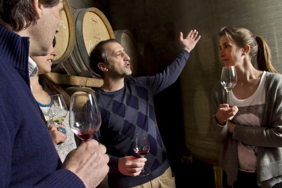 Avignon: Wine Tasting Tour - Sum Up