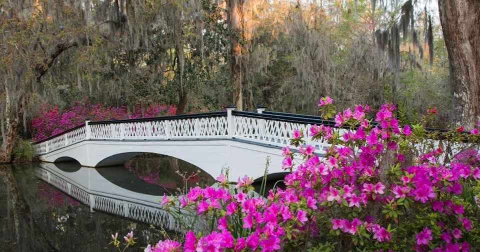 Charleston: Magnolia Plantation Entry & Tour With Transport - Sum Up