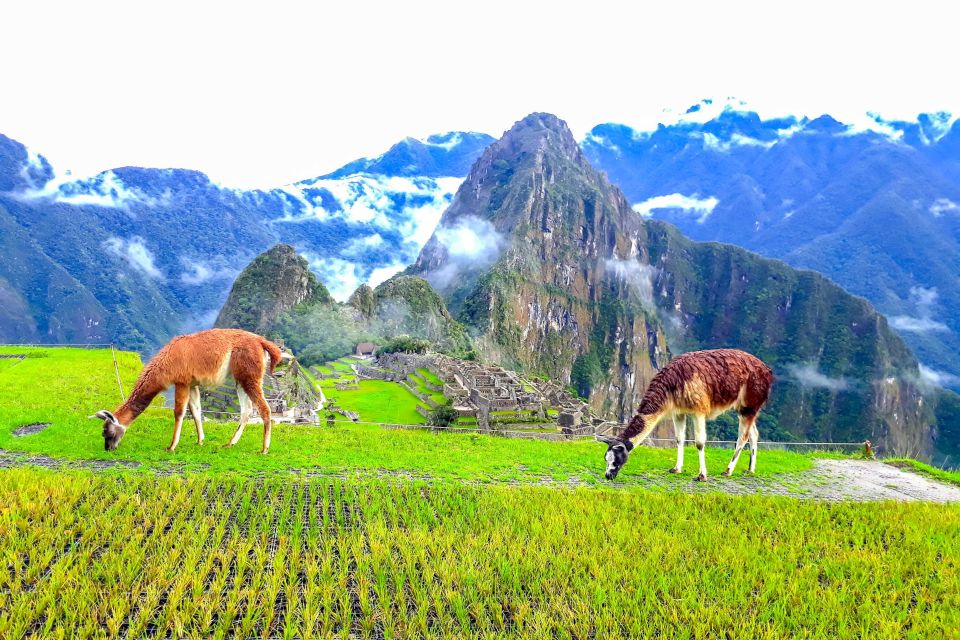Cusco: 4-Day Inca Trail to Machu Picchu Small Group Trek - Common questions