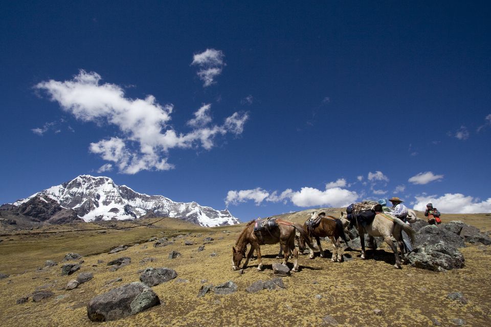 From Cusco: 2-Day Rainbow Mountain Hiking and Camping Trip - Important Notes