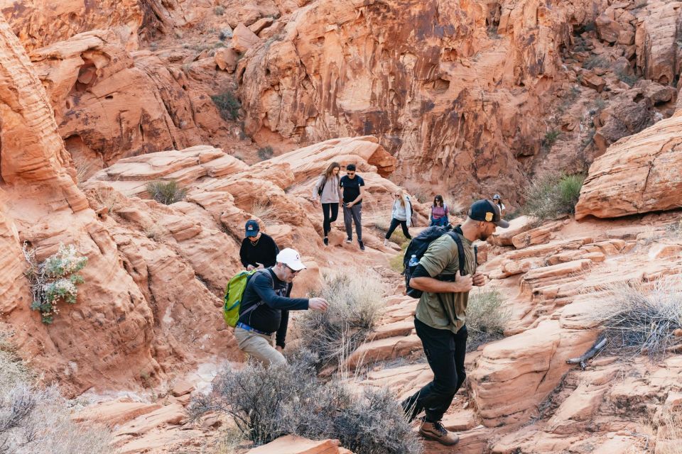 From Las Vegas: Explore the Valley of Fire on a Guided Hike - Key Points