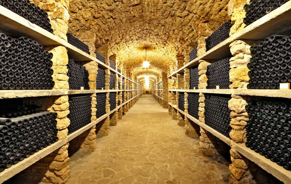 From Paris: Discover Authentic Burgundy Wine With Tastings - Why Choose This Tour