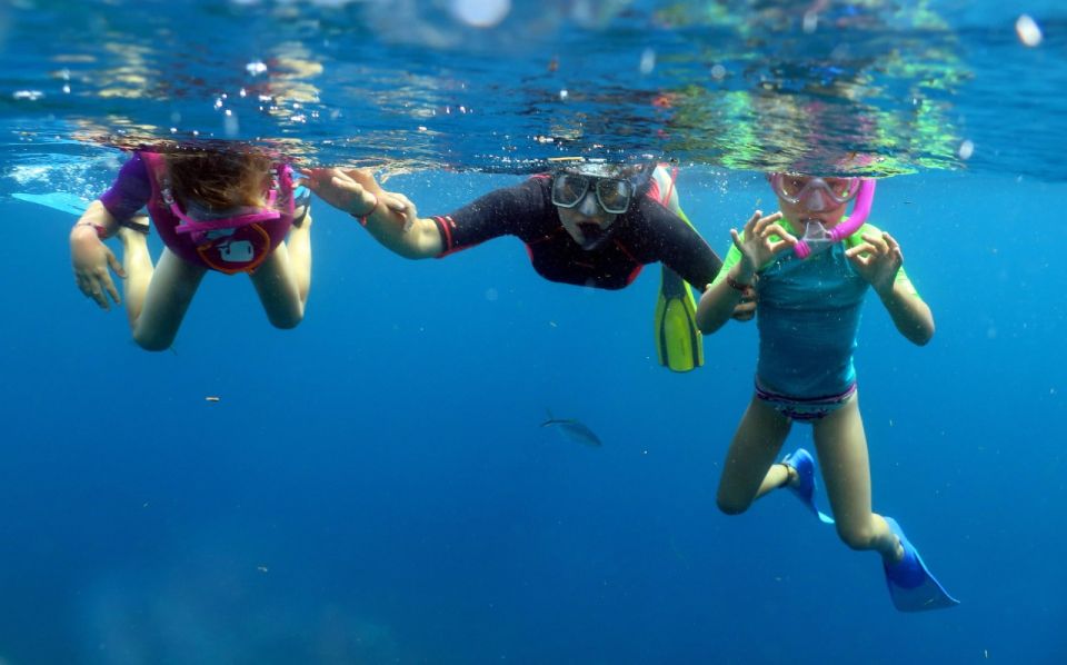 From Punta Cana: Small Group Catalina Island Snorkeling Tour - Key Points