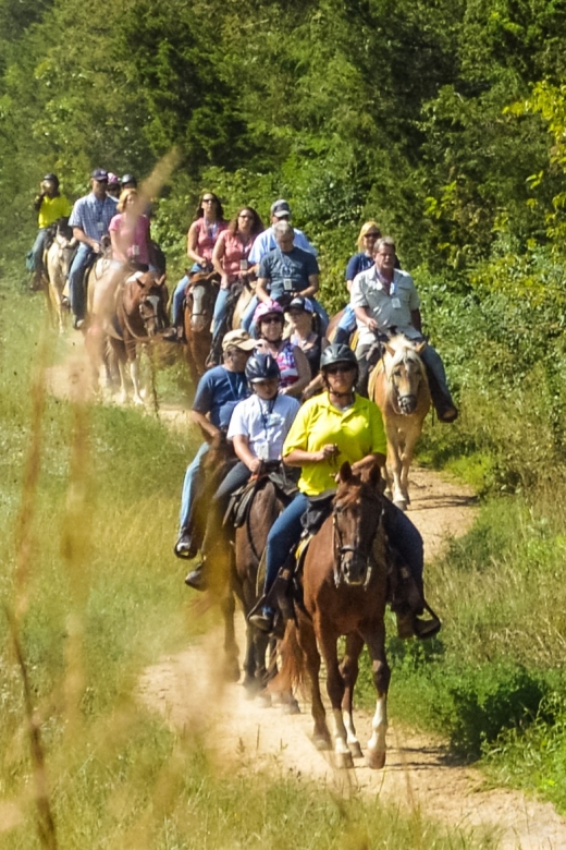 Gettysburg: Licensed Guided Battlefield Horseback Tour - Key Points