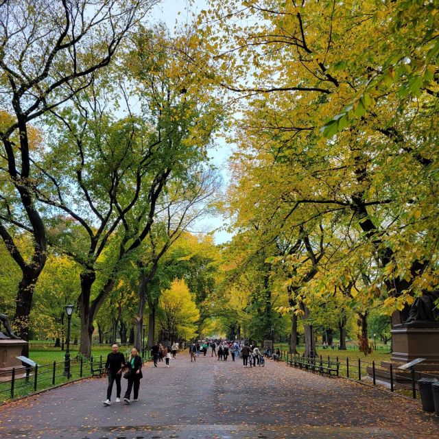 Guided Deluxe Pedicab Tour in Central Park - Common questions