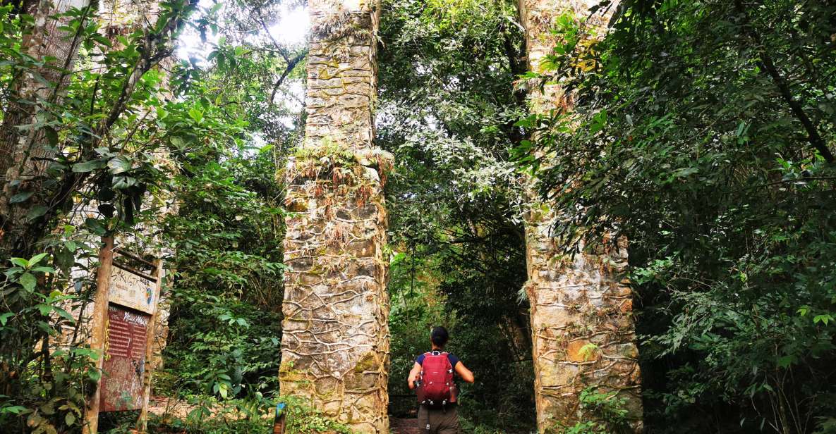 Ilha Grande: Private Historic Walking Tour With Natural Pool - Key Points