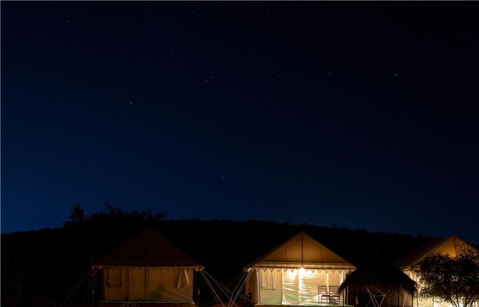 Jaisalmer: 3-Day Desert Safari With 1-Night Camping and Show - Sum Up