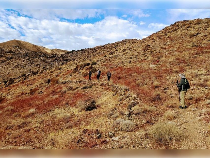 Joshua Tree: Half-Day Private Hike of the National Park - Inclusions