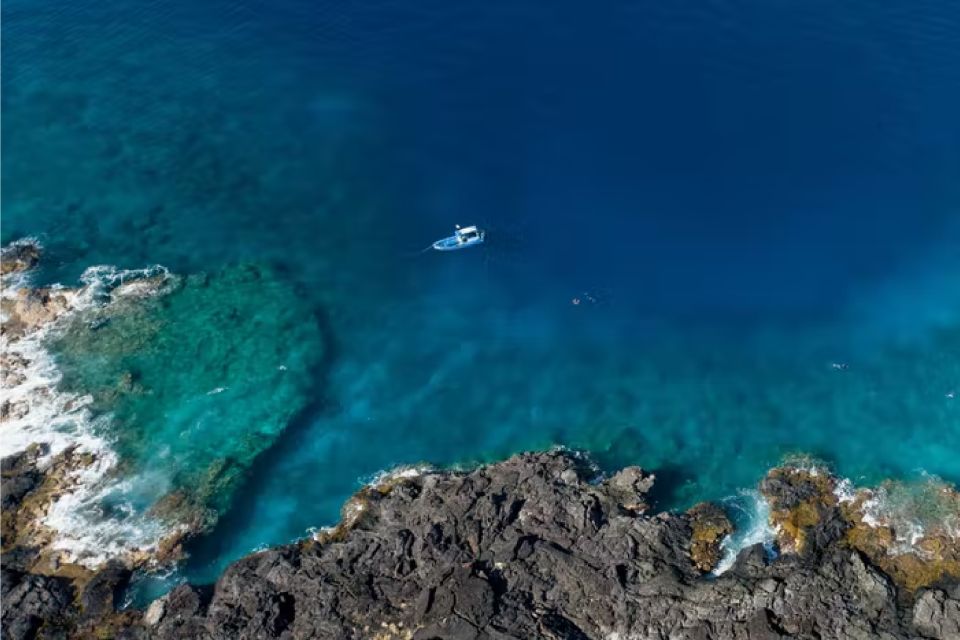 Kailua-Kona: Dolphin Watch Speedboat Snorkel Cruise and BBQ - Sum Up