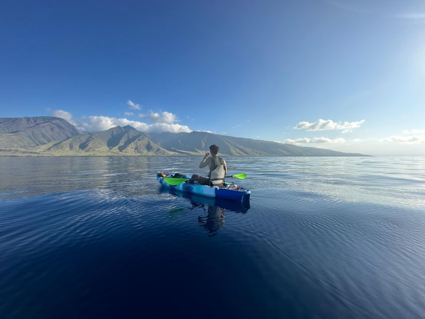 Kayak, Whale Watch And Snorkel At Turtle Town - Common questions