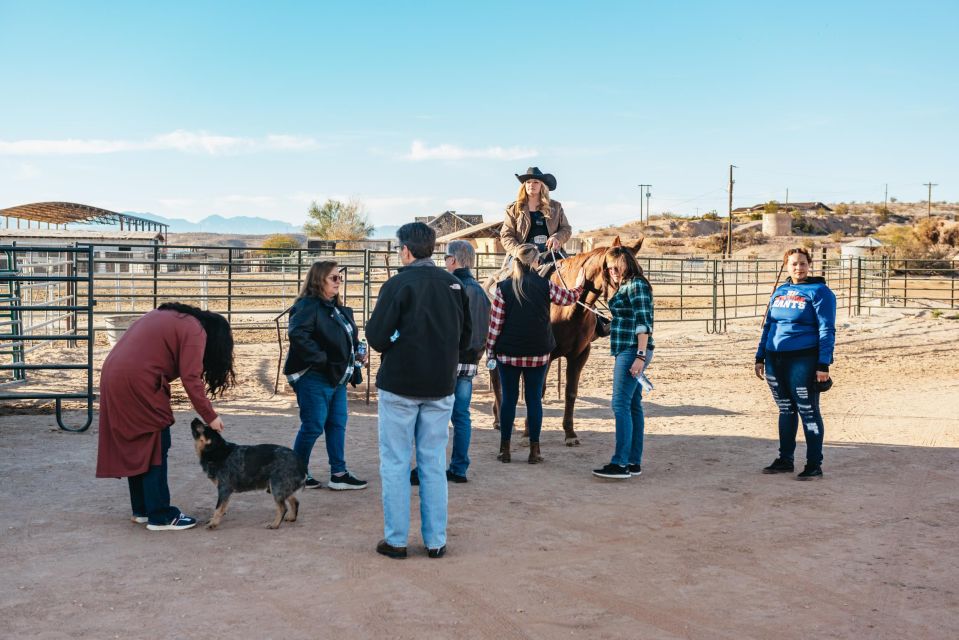 Las Vegas: Admire the Desert Sunset on Horseback With BBQ - Location and Provider Information