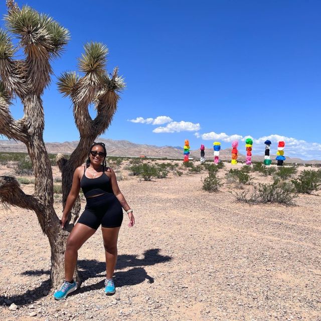 Las Vegas: Valley of Fire and Seven Magic Mountains Day Trip - Sum Up
