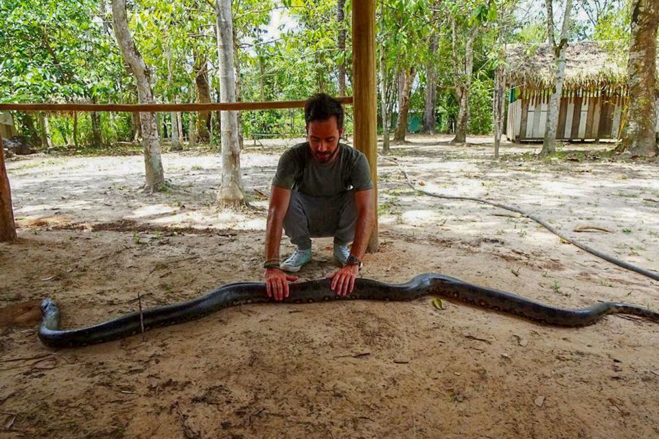 Manaus: 2, 3 or 4-Day Amazon Jungle Tour in Anaconda Lodge - Common questions