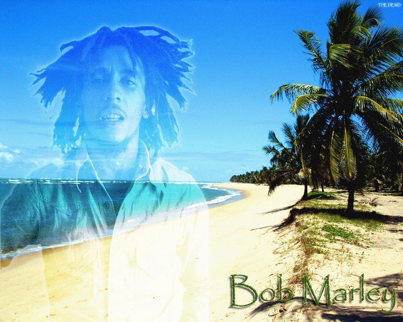 Montego Bay: Bob Marley Tour to 9 Mile, St. Ann - Additional Tips for a Memorable Experience