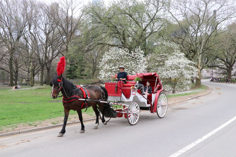 NYC: Guided Standard Central Park Carriage Ride (4 Adults) - Key Points