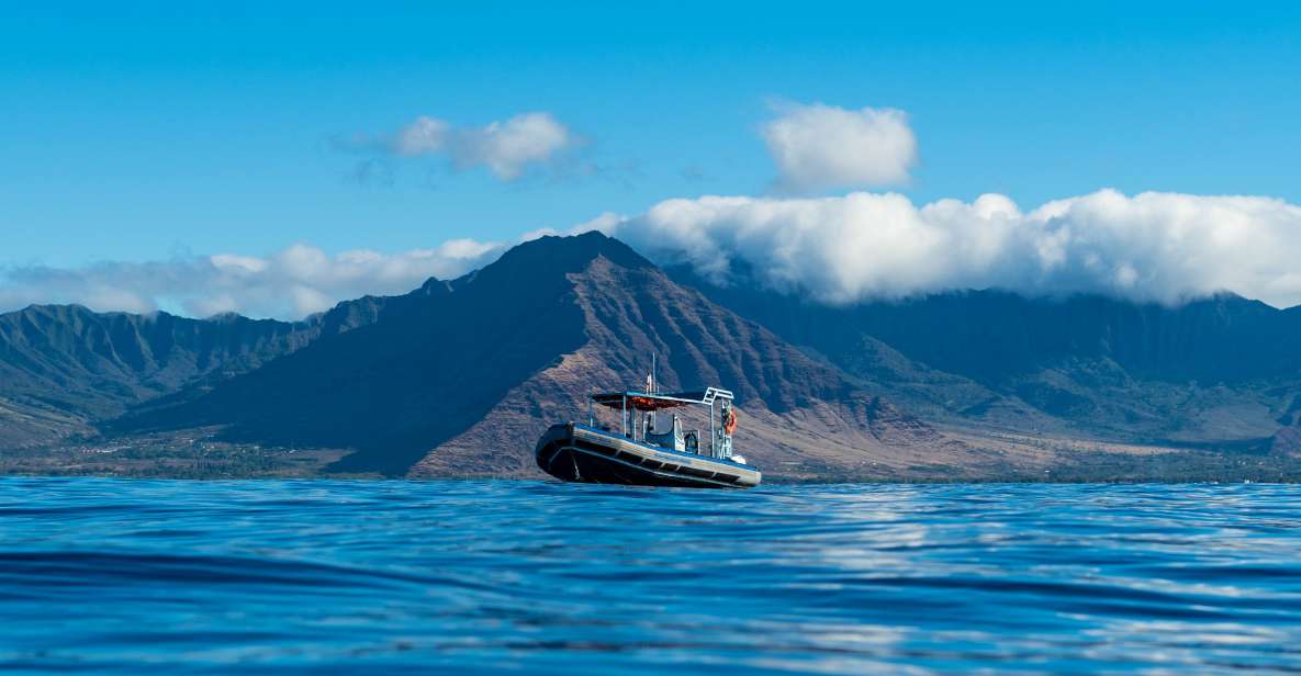 Oahu: Dolphin Swim and Snorkeling Speedboat Tour - Sum Up