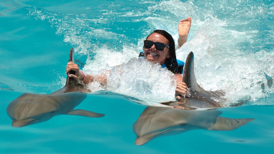 Punta Cana: Dolphin Discovery Swims and Encounters - Common questions