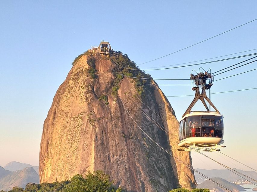 Rio De Janeiro: Private Full-Day Highlights Tour - Customer Reviews and Feedback