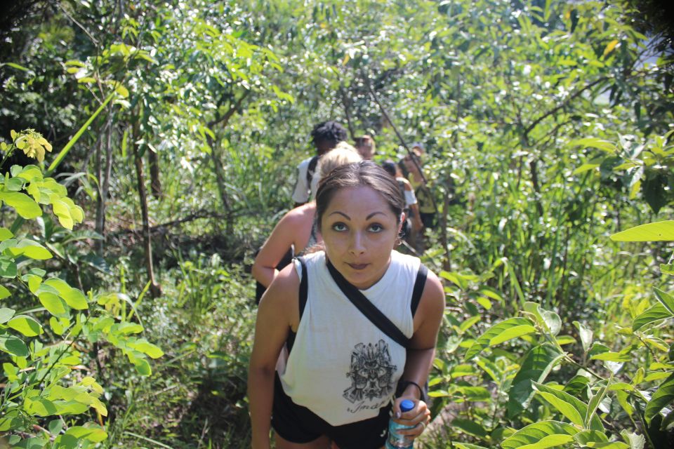 Rio De Janeiro: Tijuca Forest Waterfall of Souls Hike - Sum Up